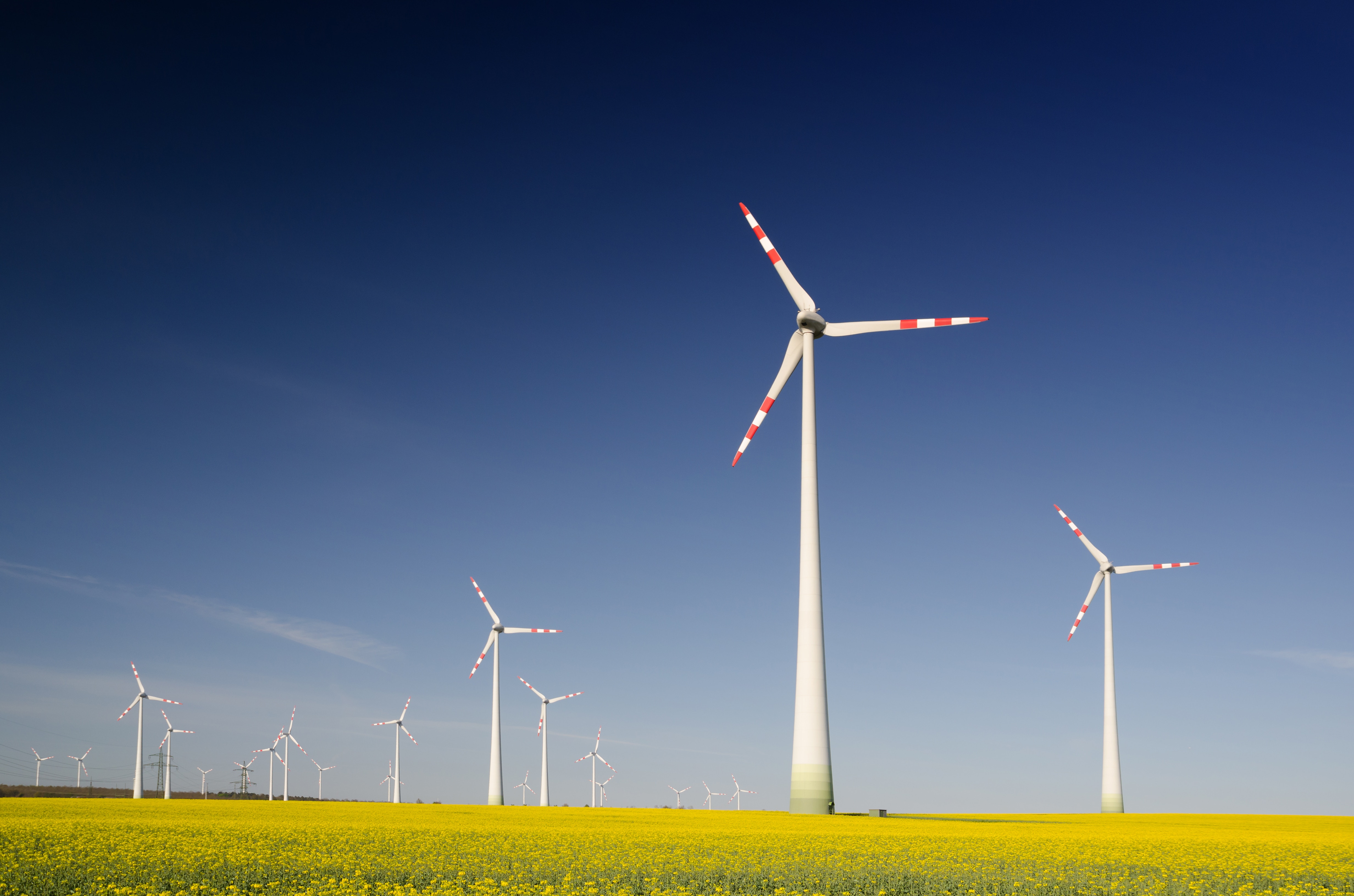 Wind turbines in a green field