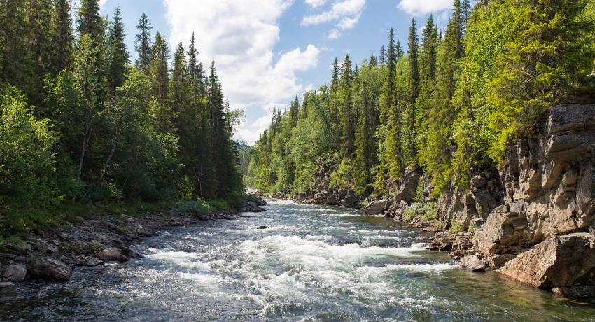 New study shows quality of river flow forecasts depends on local